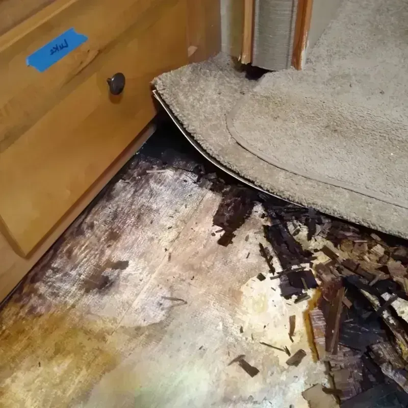 Wood Floor Water Damage in Knightsen, CA